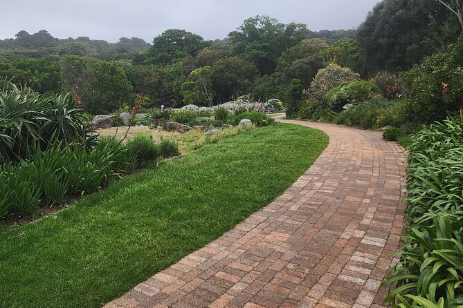 Robben Island Table Mountain and Kirstenbosch Sharing group tour - Kirstenbosch: a gentle finish among Cape flora
