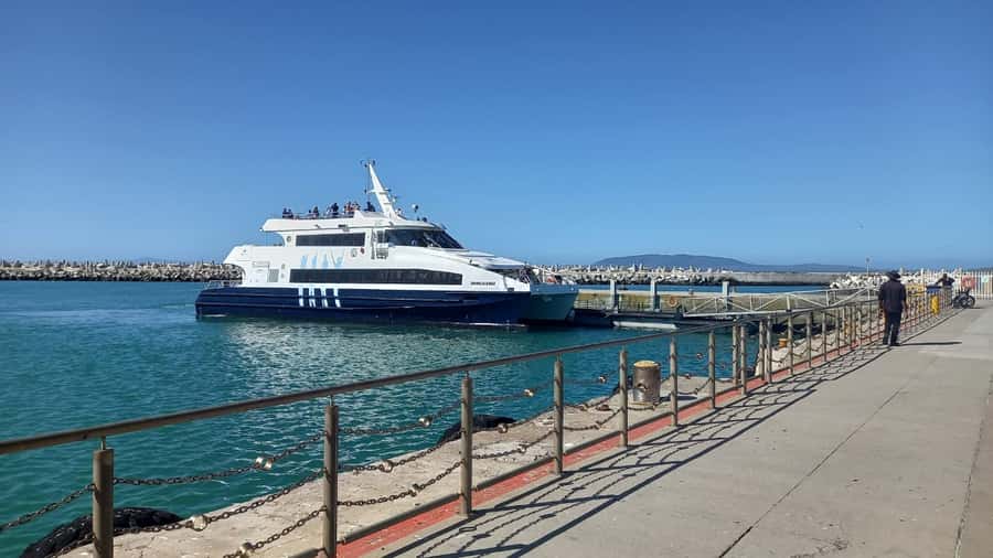 Robben Island,Table Mountain Full day Private Tour Cape Town - Why this Cape Town combination works
