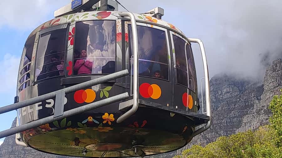 Robben Island,Table Mountain Full day Private Tour Cape Town - The island bus tour and prison visit