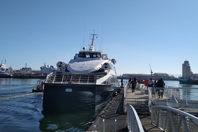 Robben Island Tour including Pick Up & Drop Off from Cape Town - The bus tour covers more than the prison