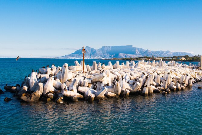 Robben Island Tour; Pickup, Drop-off; Guided Tour Historic Prison - Key Points Before You Book