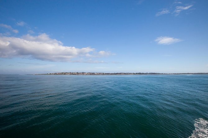 Robben Island tour with additional stops at famous spots!! - Why Robben Island Deserves the Time
