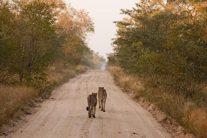 Sabie Game Reserve Sunset Safari Tour with Sundowners - Entering Sabi Sand and taking the open safari vehicle