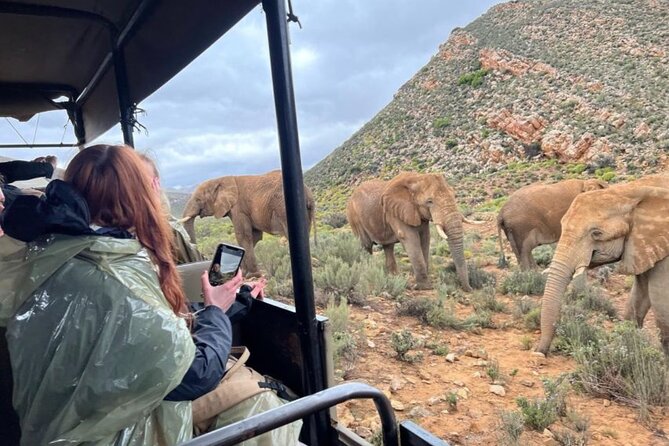 SAFARI Aquila Game Reserve - Round trip + Lunch incl. (Cape Town) - The pickup sets the tone