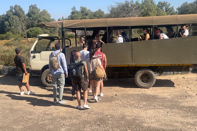 SAFARI Aquila Game Reserve - Round trip + Lunch incl. (Cape Town) - Arrival at the 10,000-hectare reserve