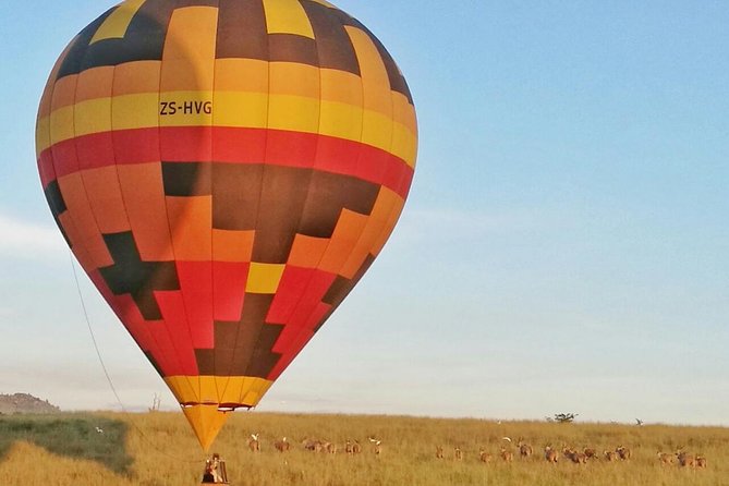 Safari Flight - Key points before you book