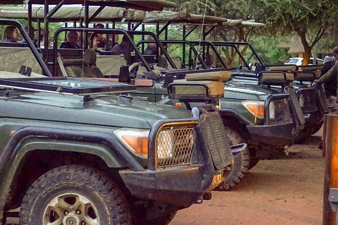 Safari Game Drive: Dinokeng Game Reserve - Key points at a glance