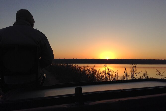 Safari Game Drive: Dinokeng Game Reserve - What you may see during the 2.5-hour drive