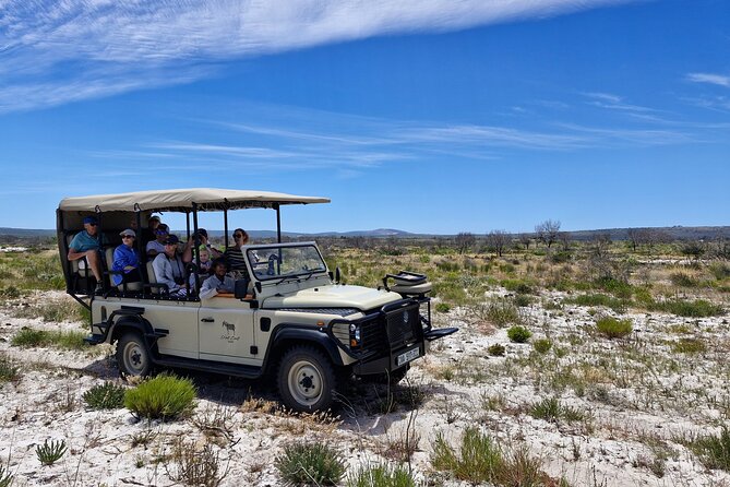 Safari Game Drive - Yzerfontein - Why the nine-seat Land Cruiser matters