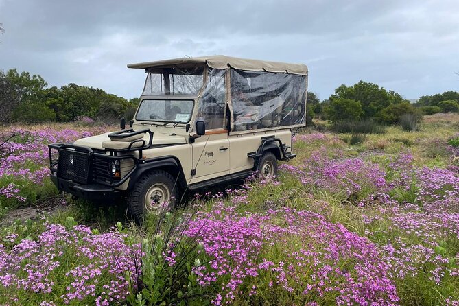 Safari Game Drive - Yzerfontein - What you may see inside the reserve