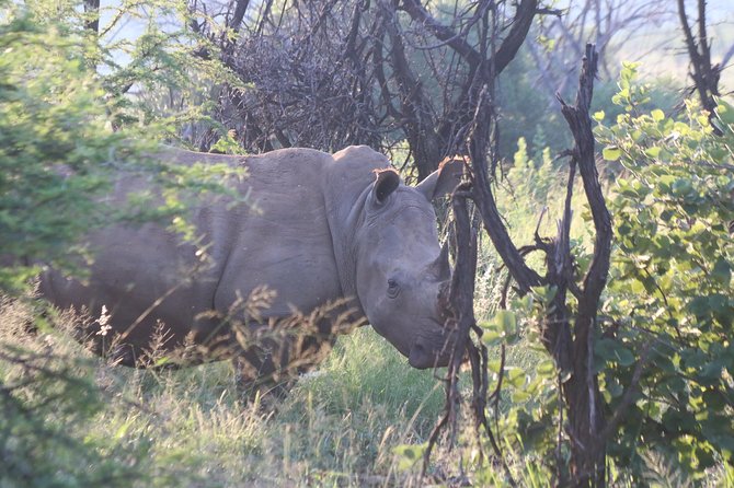 Safari Pilanesberg Nature Reserve & Monkey Sanctuary - Entering Pilanesberg National Park