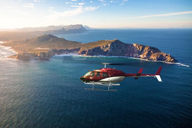 Scenic Cape Point Helicopter Tour from Cape Town - The waterfront and Cape Town from the air