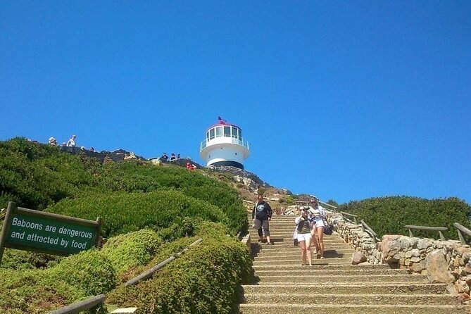 Scheduled Guided Tour to Table Mountain and Cape of Good Hope - A useful way to understand this Cape Town day