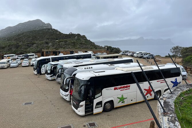 Scheduled Guided Tour to Table Mountain and Cape of Good Hope - Table Mountain: the day’s headline view
