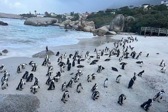 Scheduled Guided Tour to Table Mountain and Cape of Good Hope - Noordhoek Farm Village: a sensible mid-route pause