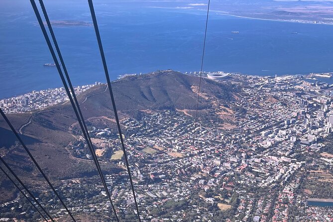 Scheduled Guided Tour to Table Mountain and Cape of Good Hope - Just Nuisance and St. James Beach