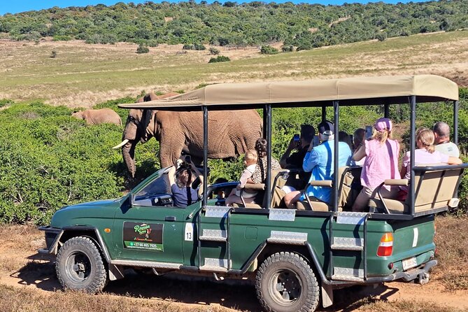Schotia Private Game African Safari Guided Tour - Choosing between the morning and afternoon slots