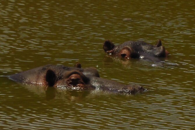 Schotia Private Game African Safari Guided Tour - The drive from Port Elizabeth to Schotia
