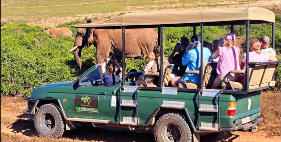 Schotia Safaris: Best Wildlife Encounters in Port Elizabeth - Why an open 4x4 makes a difference