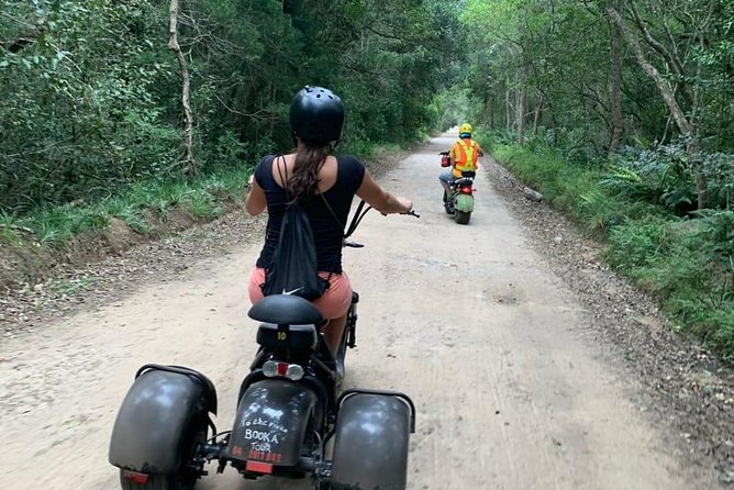 Scooter Tours through Tsitsikamma National Park - Scooters, rainforest, and a change of pace