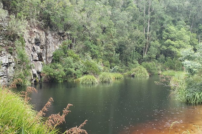 Scooter Tours through Tsitsikamma National Park - Into the thick Tsitsikamma forest