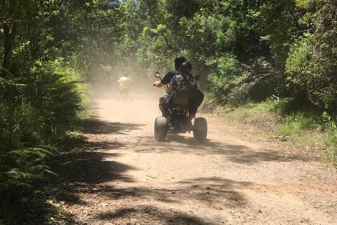 Scooter Tours through Tsitsikamma National Park - What the strongest guide feedback tells you