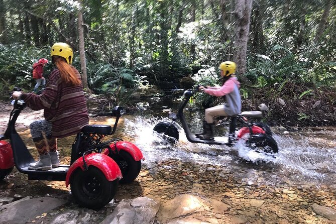 Scooter Tours through Tsitsikamma National Park - Meeting in Stormsrivier at 111 Darnell Street
