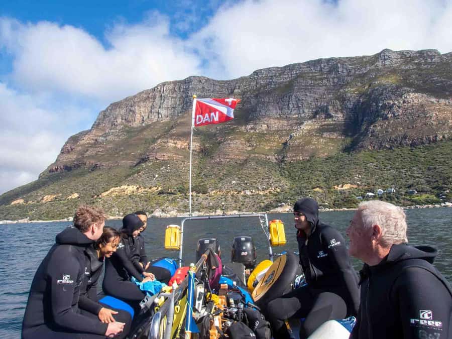 Scuba Dive in Cape Town: 2 Dives for certified divers - Wildlife sightings and what you may actually see