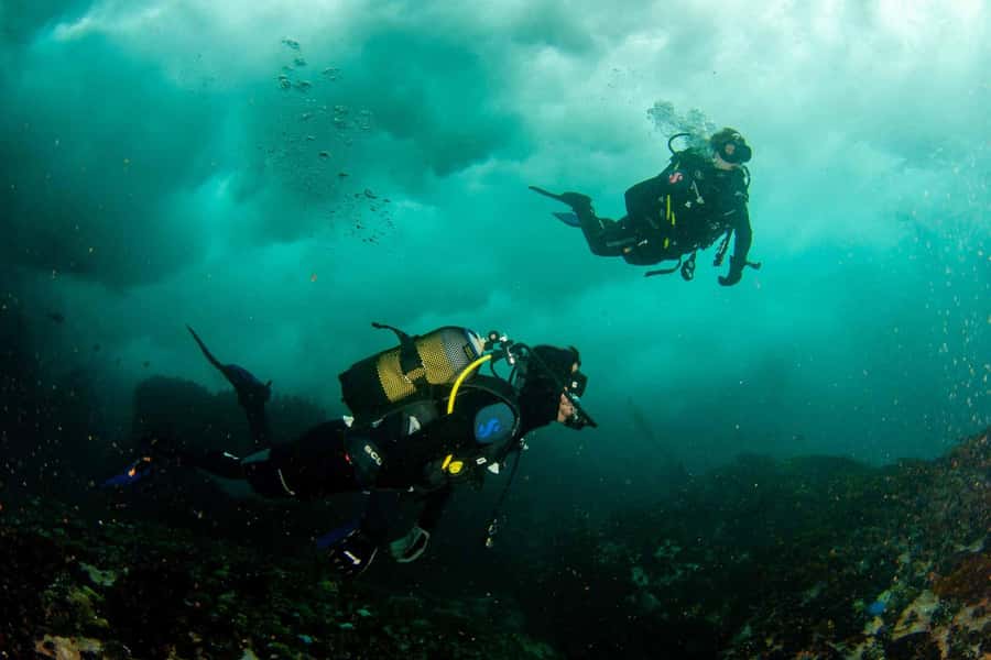 Scuba Dive in Cape Town: 2 Dives for certified divers - The return to Simons Town
