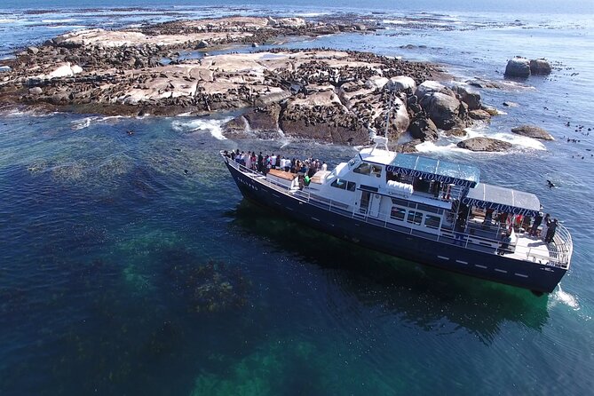 Seal Island,Cape of Good Hope&Penguins Shared Tour,From Cape Town - Cape Point rewards the extra admission fee