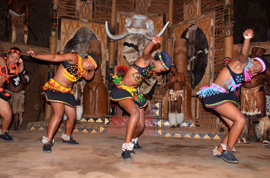 Shakaland and Zulu Culture Full-Day Trip - Dlinza Forest’s boardwalk and quiet trails