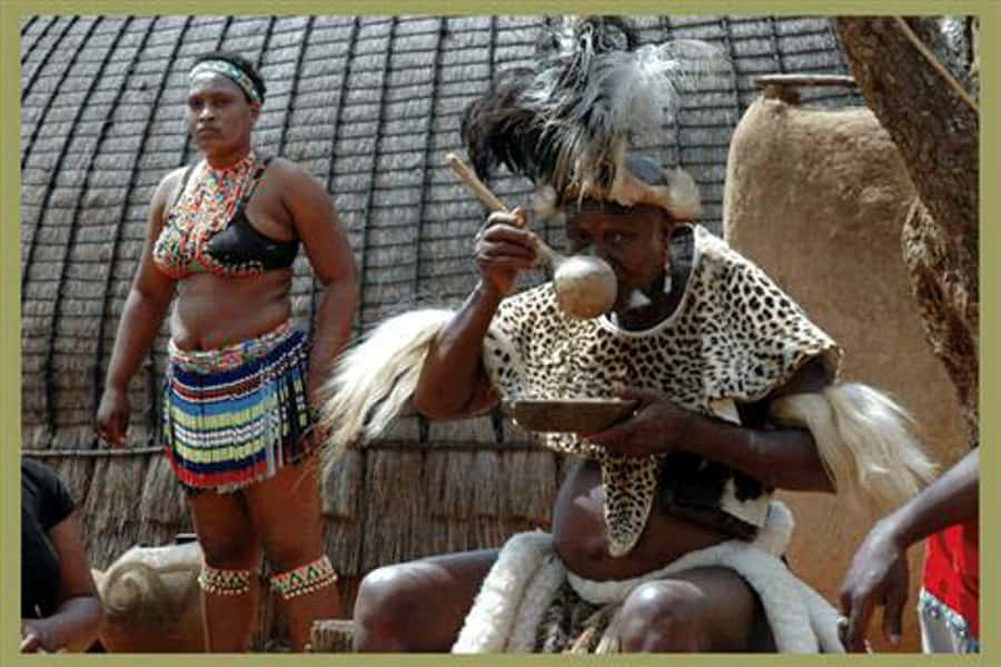 Shakaland and Zulu Culture Full-Day Trip - Price, pickup, and what the $218 covers