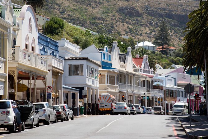 Shared Half Day Tour in Cape Peninsula with African Penguins - Maidens Cove gives you the first great view