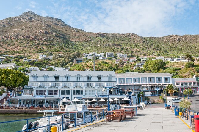 Shared Half Day Tour in Cape Peninsula with African Penguins - Cape of Good Hope brings the open coast
