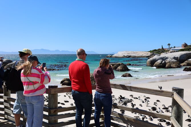 Shared Half Day Tour in Cape Peninsula with African Penguins - The return ride can take longer than expected