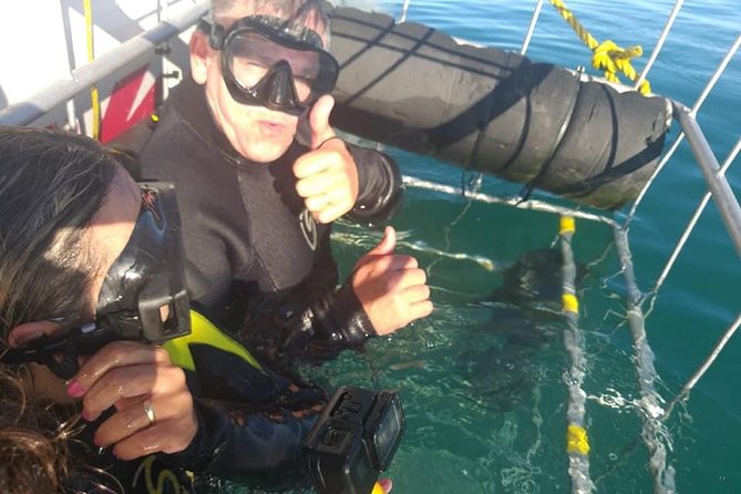 Shark Cage Diving - The long road to Kleinbaai