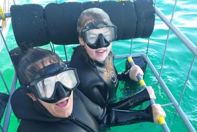 Shark Cage Diving - Is $267.97 good value?