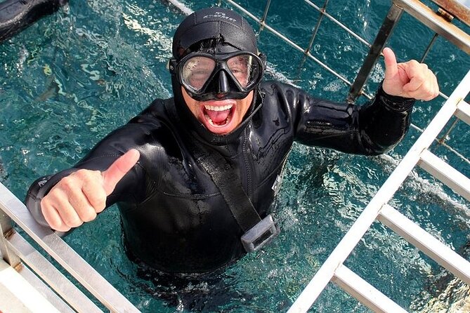 Shark Cage Diving and Viewing with transport from Hermanus - Why the conservation and education matter