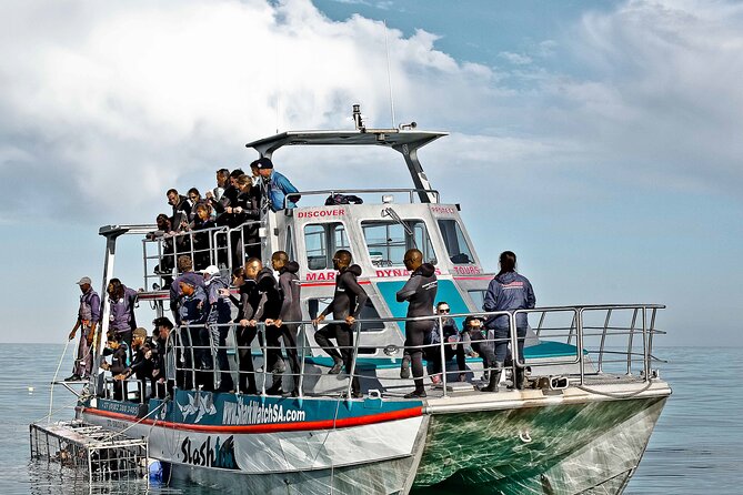 Shark Cage Diving and Viewing with transport from Hermanus - Is $234.50 a fair price?