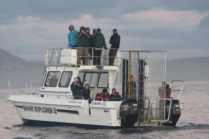 Shark cage diving & viewing tours in Gansbaai - Cape Town pickup and the journey to Gansbaai