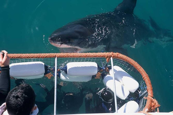 Shark cage diving & viewing tours in Gansbaai - Breakfast and the safety briefing at Van Dyks Bay