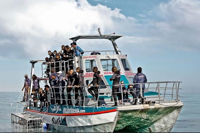 Shark Diving Full Day Guided Return Transfer to Gansbaai from Cape Town - Preparing for the shark cage experience