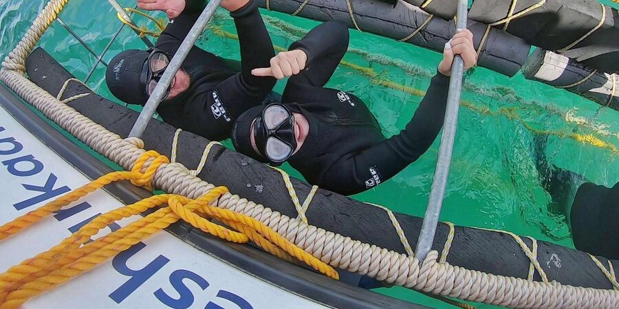 Shark & Whale Trip Combo - Timing, weather, and the value of flexibility