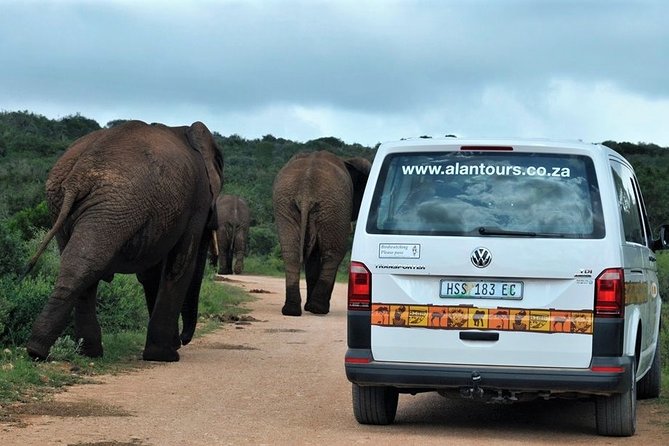Shore Excursion Cruise Ships Port Elizabeth, Addo Elephant Park - Following the elephants from south to north