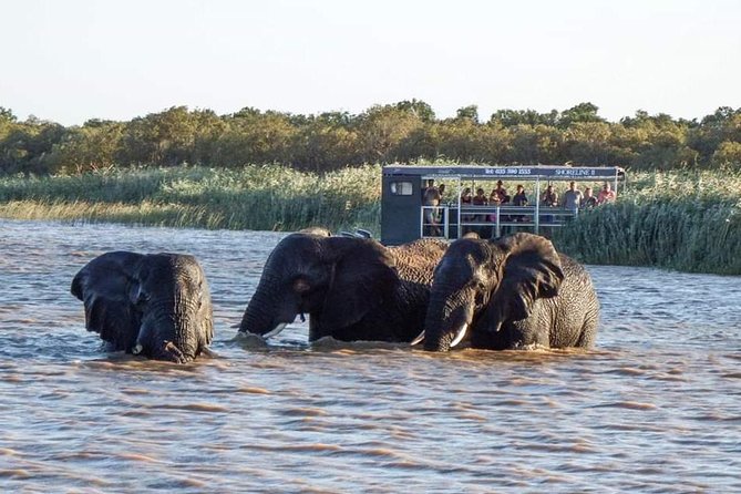 Shoreline Hippo and Crocodile Boat Cruises, iSimangaliso Wetland Park - Is $23.01 good value?