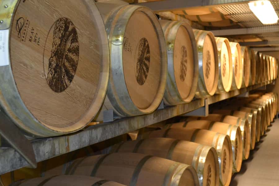 Sip & Savor : A Perfect Half-day Wine Escape to Stellenbosch - Key points to know before booking