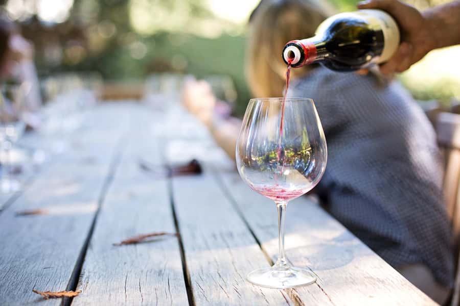 Sip & Savor : A Perfect Half-day Wine Escape to Stellenbosch - Marianne Wine Estate and the biltong pairing