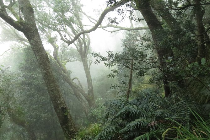 Skeleton Gorge to Table Mountain summit - Why the guide matters on this route