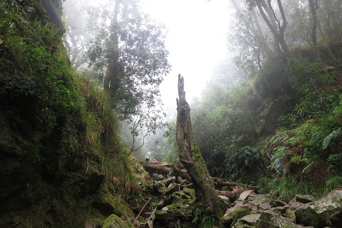 Skeleton Gorge to Table Mountain summit - Weather can change the plan