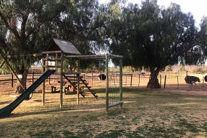 Skip the Line: Highgate Ostrich Farm Tour Ticket - Be clear about ostrich riding